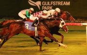 Pronósticos Gulfstream Park: picks gratis y el dato clave para el sábado 31 de enero