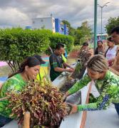 Realizada actividad de siembra en Parque Tierras de Arawaco