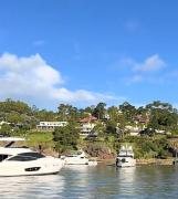 “Baje el volumen”: el curioso mensaje que desató una sinfonía de bocinas en Portezuelo