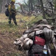Alerta en el Parque Lanín: tras la tormenta eléctrica, brigadistas y vecinos extinguieron múltiples focos de incendio