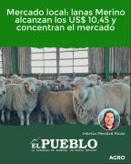Mercado local: lanas Merino alcanzan los US$ 10,45 y concentran el mercado ‣ Martin Ferreira Pinto