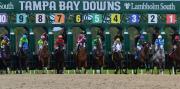 Jinetes venezolanos acaparan el último Pick 4 del domingo en Tampa Bay Downs