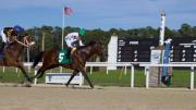 ¡Poder criollo! Jinetes venezolanos imponen un dominio histórico en Tampa Bay Downs