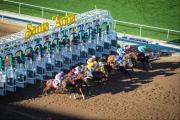 Santa Anita Park: El hipódromo californiano se prepara para dos eventos que otorgan puntos para la carrera de Las Rosas y Lirios