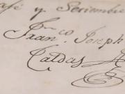 Subastaron en Bogotá manuscrito sobre la Real Expedición Botánica que desapareció en 1848