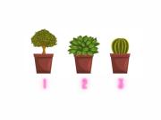 Test de personalidad: elegí una planta y descubrí cuál es tu mayor fortaleza