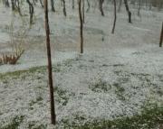 Mendoza declaró la emergencia agropecuaria: los distritos afectados por granizo y heladas