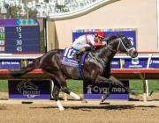 Bentornato de José Fancisco D’Angelo ejercitó con miras a la Dubai Golden Shaheen