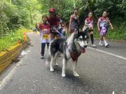 42 kilómetros de fe en el Parque Nacional Henri Pittier
