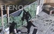Maroñas: copadores saltaron al patio de una casa y balearon a un joven que intentó escapar