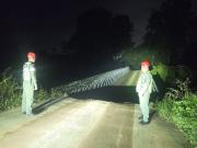 Colapsa el puente Guaruríes tras fuertes precipitaciones y desbordamiento de río en el estado Mérida