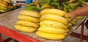 ¿De qué planeta son esos plátanos?: 10 por 2.500 bolívares