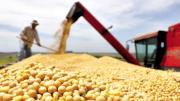 Gobierno autoriza exportación de 880 mil toneladas de soya