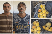 Los sorprendieron robando 20 kilos de duraznos, intentaron escapar pero los detuvieron