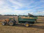 Gobierno libera 880 mil toneladas de grano de soya para exportación