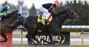 Aqueduct bajo la lupa: Conoce los primeros favoritos del Morning Line para la jornada del Withers Stakes