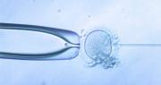 Infertilidad y reproducción asistida en un Chile que proyecta más fallecimientos que nacimientos