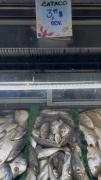Cataco a $3.99 en el Muelle Pesquero