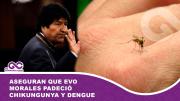 Aseguran que Evo Morales padeció chikungunya y dengue