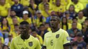 Selección de Ecuador jugará amistosos ante Marruecos y Países Bajos antes del Mundial 2026