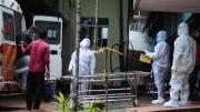 Virus Nipah en India: Epidemióloga explica si existe un riesgo real para Chile