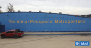 Diputadas piden fiscalización al Terminal Pesquero Metropolitano por denuncias a la administración