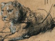 Sotheby’s vendió un dibujo único de Rembrandt y donará lo recaudado a la conservación de leones