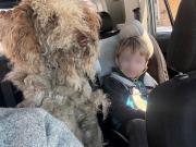 Salvó a una perra abandonada en una tormenta de nieve: la denunciaron por no llevarla a un refugio de animales