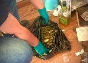 Capturan A Peligroso Violador E Incautan Valioso Material De Evidencia De Tres Violaciones A Menores De Edad