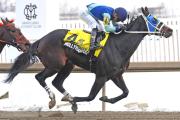 ¡Triunfo estelar! El venezolano José Gregorio Torrealba conquista el Spectacular BID Stakes en Laurel Park