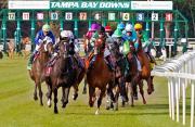 Las montas importantes del Jockey del Mes para el jueves y viernes en Tampa Bay Downs