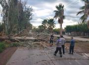 Las zonas de Mendoza bajo alerta amarilla por tormentas y granizo