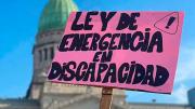 El Gobierno reglamentó la Ley de Emergencia Nacional en Discapacidad