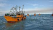 Los gremios navales de Chubut rechazan aumento del canon pesquero del langostino