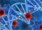 Resolvieron uno de los grandes misterios sobre el cáncer y podría ayudar a su prevención