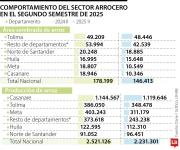 Producción de arroz cayó 289.000 toneladas en el segundo semestre del año pasado