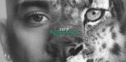 Konnakol, el nuevo álbum de Zayn Malik