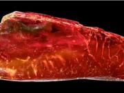 Encontraron una hormiga de 40 millones de años en la colección de ámbar de Goethe