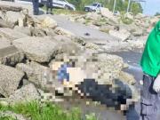 Encuentran muerto con tres tiros a un ex inspector de Ensenada: su cuerpo apareció en un playa de Punta Lara