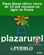 Plaza Rural ofrece cerca de 10 mil vacunos en Agro en Punta ‣ Martin Ferreira Pinto