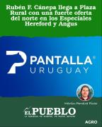 Rubén F. Cánepa llega a Plaza Rural con una fuerte oferta del norte en los Especiales Hereford y Angus ‣