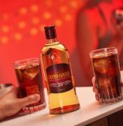 Cooperativa Control Pisquero, productores de uva para Pisco Mistral, Campanario y Horcón Quemado, activará 13 mil empleos temporales en vendimia 2026