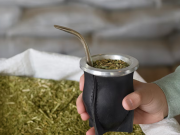 La yerba mate cerró 2025 con exportaciones récord