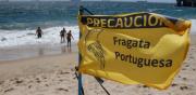 Fragata portuguesa obliga a cerrar playas en Algarrobo, El Quisco y Concón