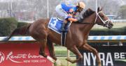 Kentucky Oaks: Zany entrenada por Todd Pletcher se juega el invicto en el Suncoast Stakes de $150,000