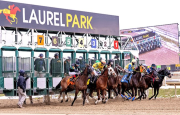 ¡Oficial! Laurel Park canceló la jornada del sábado 7 de febrero