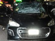 Choque trágico en la Ruta 60 entre un camión y un auto: murió un chico de 12 años y su hermana de 2 está grave