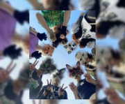 Personas que se sienten animales se juntarán en Mendoza: así será la primera juntada therian