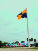 Ordenan retirar bandera pirata ubicada en ruta 5