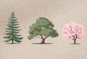 Test de personalidad: elegí un árbol y descubrí el origen de tus miedos e inseguridades